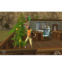 De Sims 2