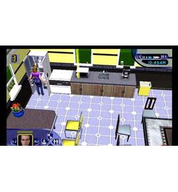 De Sims