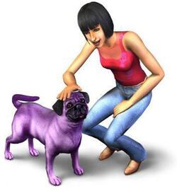 De Sims 2 Huisdieren
