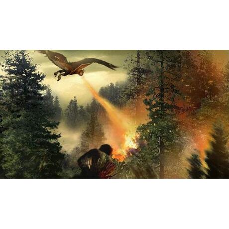 Harry Potter en de Vuurbeker