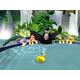 Buzz Junior: Jungle Party